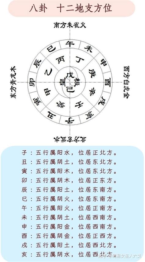 十二生肖地支|地支